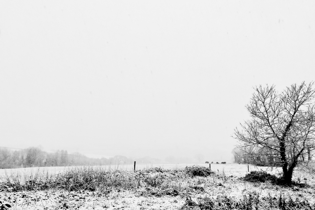 Winter in Cornwall