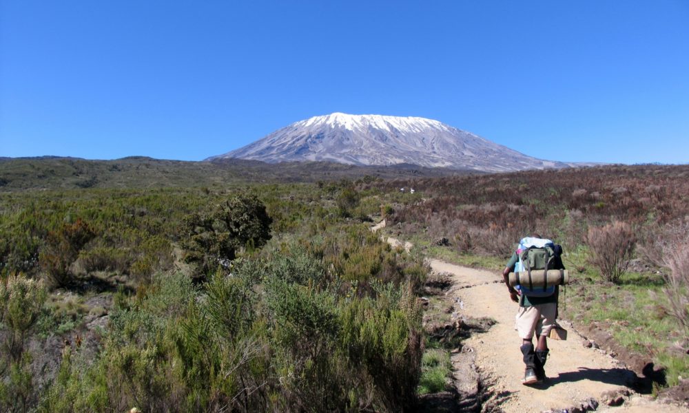 Man With Backpack On Kilimanjaro Trek