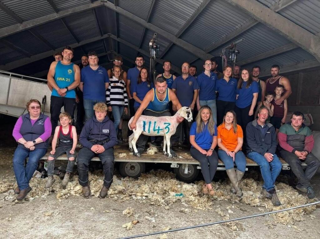 Shearathon