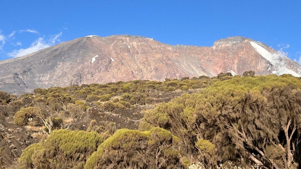 Kilimanjaro trek Sept 2024