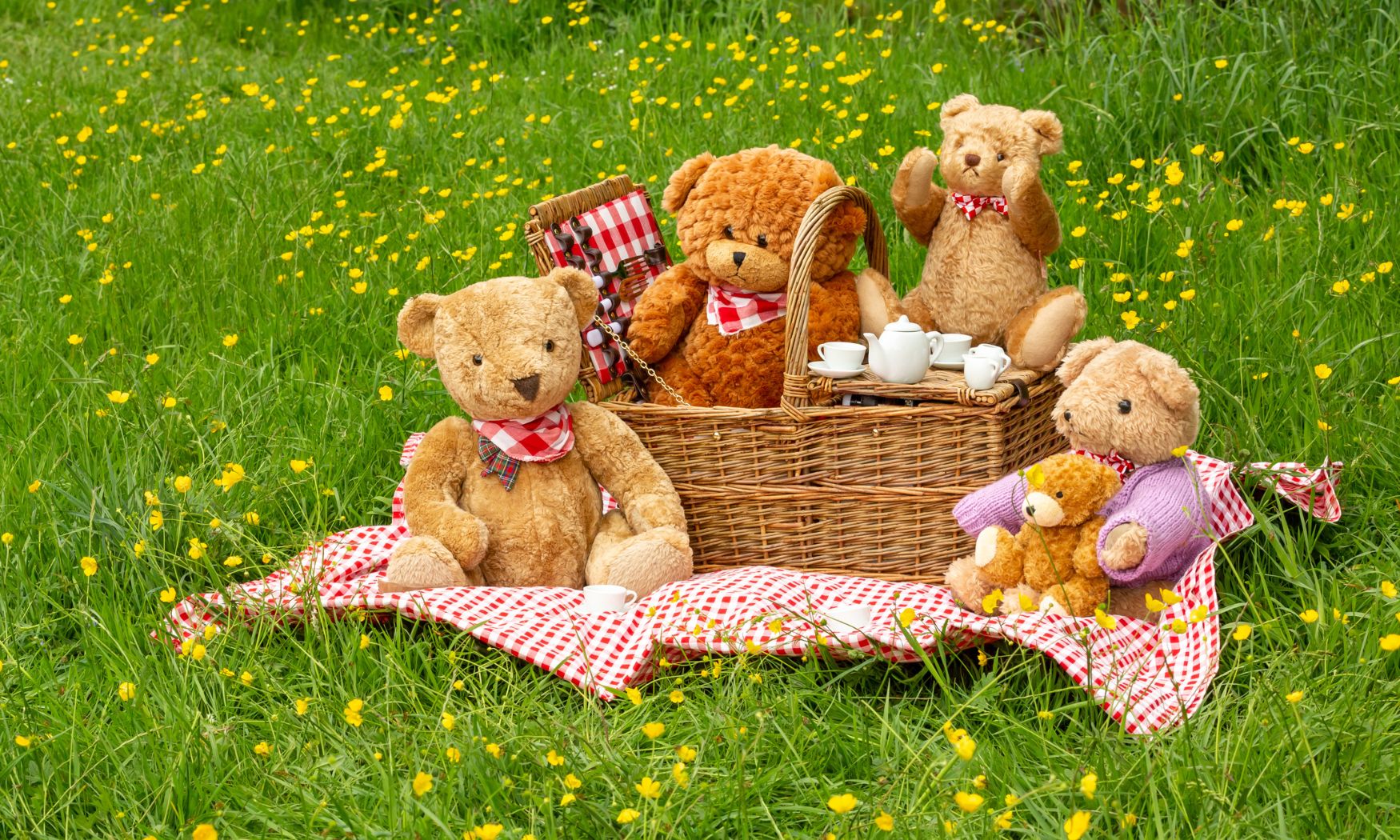 Teddy Bear Picnic